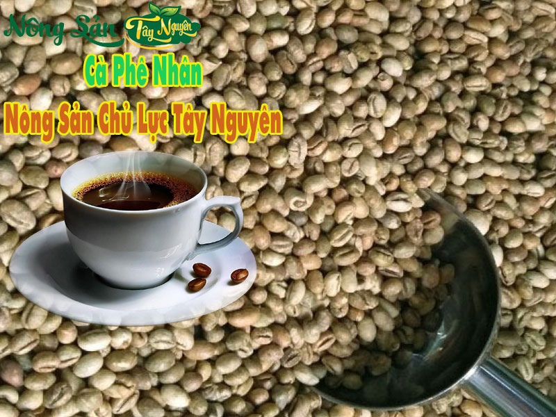 Hạt cà phê nhân là nông sản chủ lực của vùng Tây Nguyên